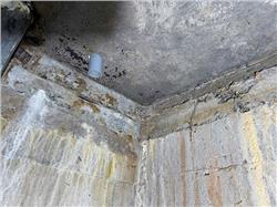 Thi Công Chống Thấm Bể Nước Ăn – Giải Pháp Bền Vững, An Toàn Sức Khỏe Thi Công Chống Thấm Bể Nước Ăn – Giải Pháp Bền Vững, An Toàn Sức Khỏe